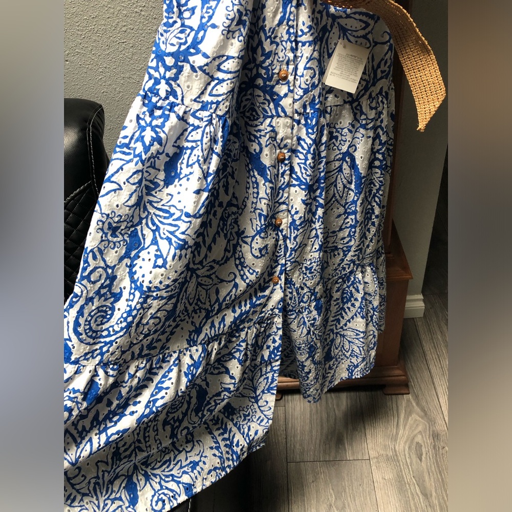Zara Blue and White Paisley Button-Front Maxi Dress - Picture 8 of 10